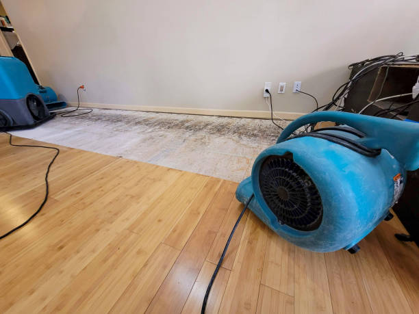 Professional Structural Drying technician working in Portage, MI